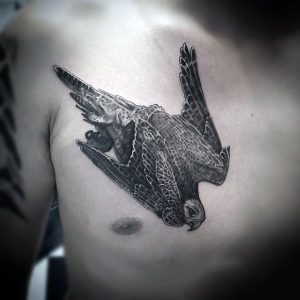 Falcon Tattoo Designs Are Safe Way to Apply